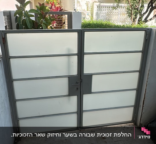 שער זכוכית בחצר עם צמחייה מסביב